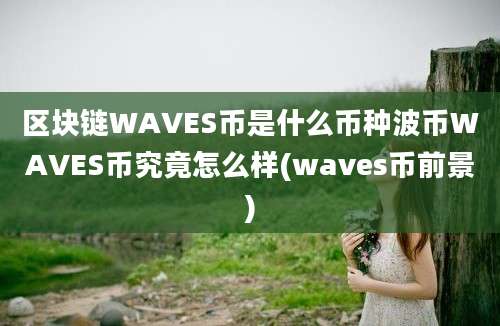 区块链WAVES币是什么币种波币WAVES币究竟怎么样(waves币前景)