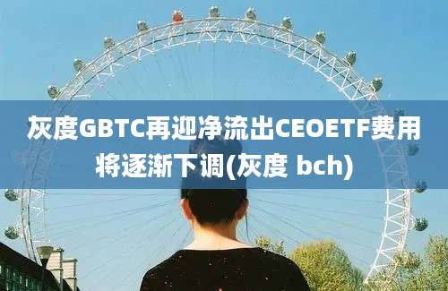 灰度GBTC再迎净流出CEOETF费用将逐渐下调(灰度 bch)