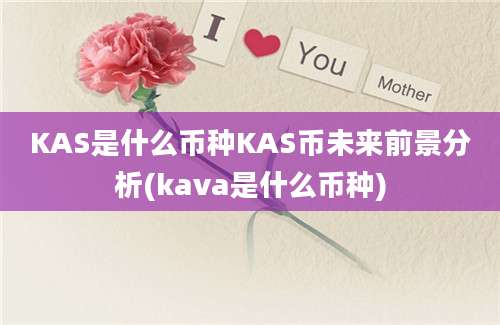 KAS是什么币种KAS币未来前景分析(kava是什么币种)