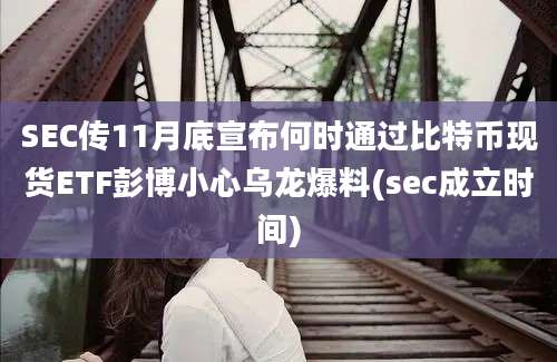 SEC传11月底宣布何时通过比特币现货ETF彭博小心乌龙爆料(sec成立时间)