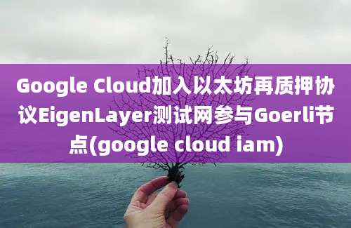 Google Cloud加入以太坊再质押协议EigenLayer测试网参与Goerli节点(google cloud iam)