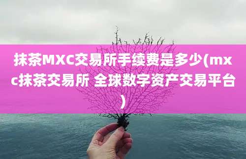 抹茶MXC交易所手续费是多少(mxc抹茶交易所 全球数字资产交易平台)