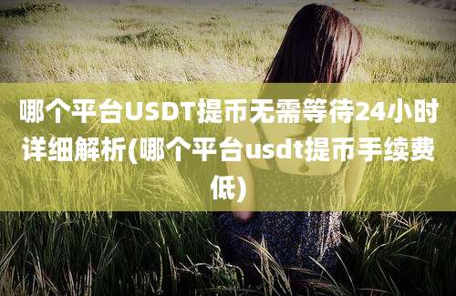 哪个平台USDT提币无需等待24小时详细解析(哪个平台usdt提币手续费低)