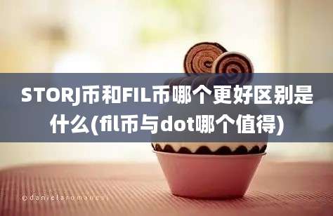 STORJ币和FIL币哪个更好区别是什么(fil币与dot哪个值得)