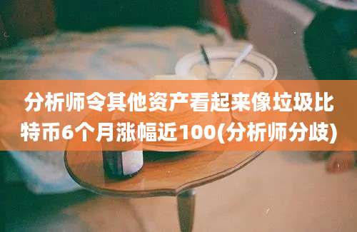 分析师令其他资产看起来像垃圾比特币6个月涨幅近100(分析师分歧)