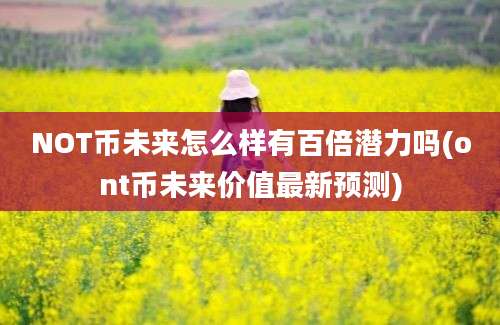 NOT币未来怎么样有百倍潜力吗(ont币未来价值最新预测)