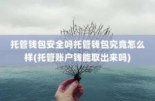 托管钱包安全吗托管钱包究竟怎么样(托管账户钱能取出来吗)