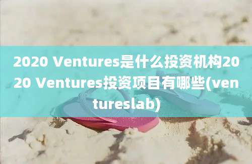 2020 Ventures是什么投资机构2020 Ventures投资项目有哪些(ventureslab)