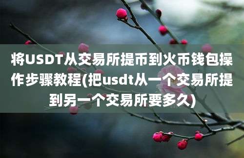 将USDT从交易所提币到火币钱包操作步骤教程(把usdt从一个交易所提到另一个交易所要多久)