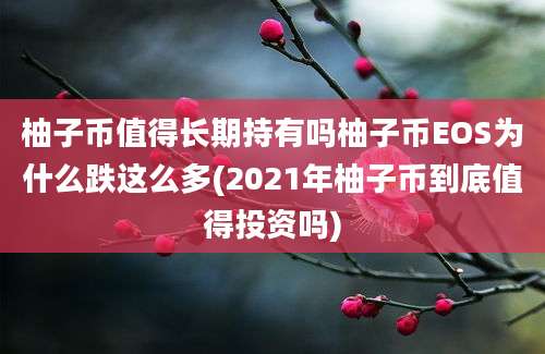 柚子币值得长期持有吗柚子币EOS为什么跌这么多(2021年柚子币到底值得投资吗)