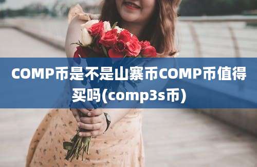 COMP币是不是山寨币COMP币值得买吗(comp3s币)