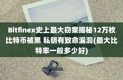 Bitfinex史上最大窃案揭秘12万枚比特币被黑 私钥有致命漏洞(最大比特率一般多少好)