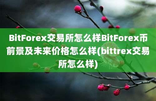 BitForex交易所怎么样BitForex币前景及未来价格怎么样(bittrex交易所怎么样)