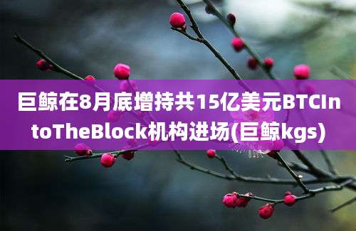 巨鲸在8月底增持共15亿美元BTCIntoTheBlock机构进场(巨鲸kgs)