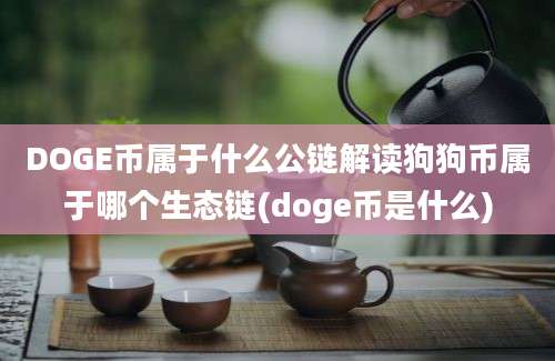 DOGE币属于什么公链解读狗狗币属于哪个生态链(doge币是什么)