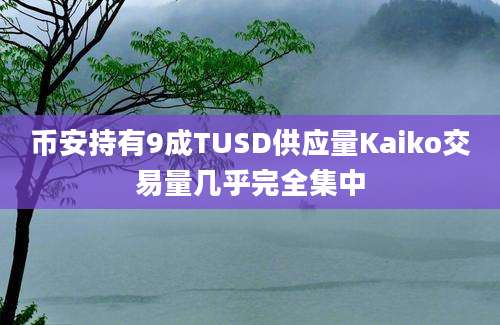 币安持有9成TUSD供应量Kaiko交易量几乎完全集中