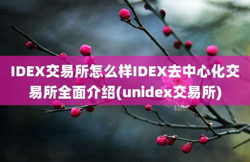 IDEX交易所怎么样IDEX去中心化交易所全面介绍(unidex交易所)