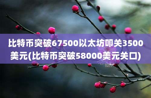 比特币突破67500以太坊叩关3500美元(比特币突破58000美元关口)