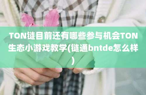 TON链目前还有哪些参与机会TON生态小游戏教学(链通bntde怎么样)