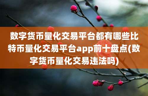 数字货币量化交易平台都有哪些比特币量化交易平台app前十盘点(数字货币量化交易违法吗)