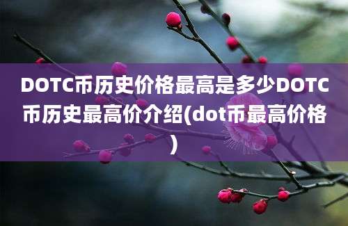 DOTC币历史价格最高是多少DOTC币历史最高价介绍(dot币最高价格)