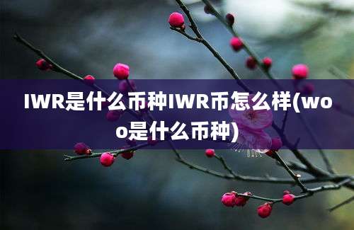 IWR是什么币种IWR币怎么样(woo是什么币种)