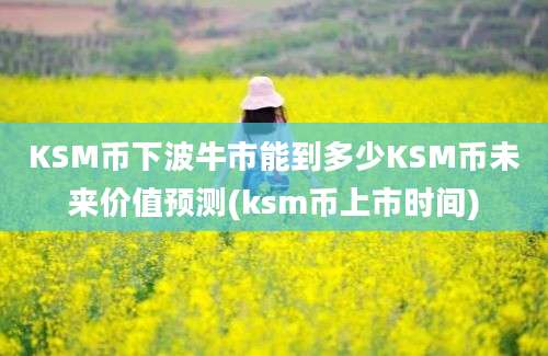 KSM币下波牛市能到多少KSM币未来价值预测(ksm币上市时间)