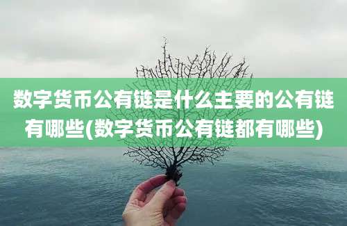 数字货币公有链是什么主要的公有链有哪些(数字货币公有链都有哪些)