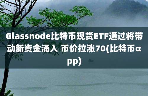 Glassnode比特币现货ETF通过将带动新资金涌入 币价拉涨70(比特币αpp)