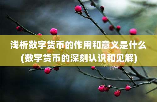 浅析数字货币的作用和意义是什么(数字货币的深刻认识和见解)