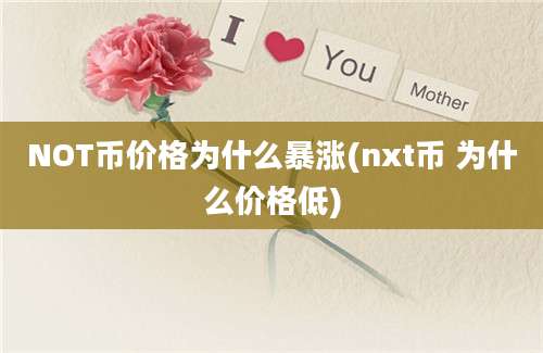 NOT币价格为什么暴涨(nxt币 为什么价格低)