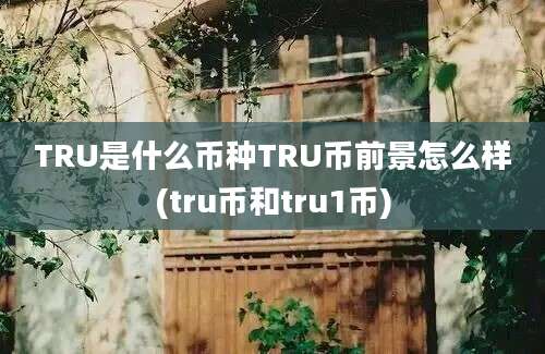 TRU是什么币种TRU币前景怎么样(tru币和tru1币)