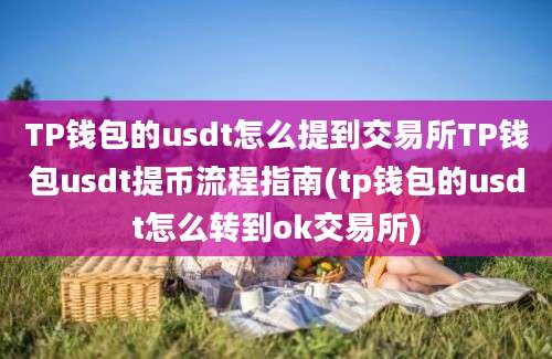 TP钱包的usdt怎么提到交易所TP钱包usdt提币流程指南(tp钱包的usdt怎么转到ok交易所)