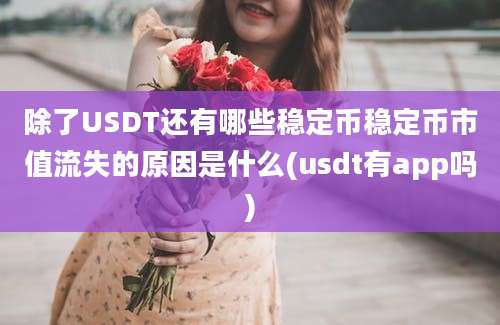 除了USDT还有哪些稳定币稳定币市值流失的原因是什么(usdt有app吗)