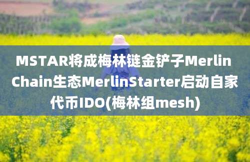 MSTAR将成梅林链金铲子Merlin Chain生态MerlinStarter启动自家代币IDO(梅林组mesh)