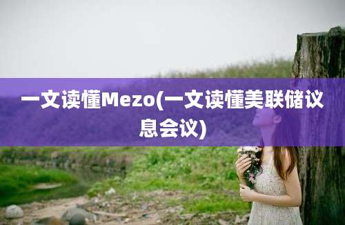 一文读懂Mezo(一文读懂美联储议息会议)