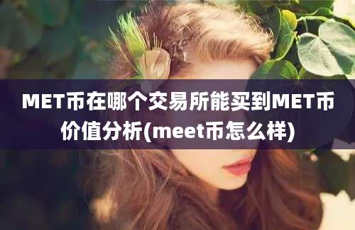 MET币在哪个交易所能买到MET币价值分析(meet币怎么样)