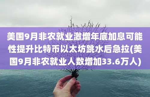 美国9月非农就业激增年底加息可能性提升比特币以太坊跳水后急拉(美国9月非农就业人数增加33.6万人)