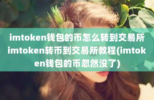 imtoken钱包的币怎么转到交易所imtoken转币到交易所教程(imtoken钱包的币忽然没了)