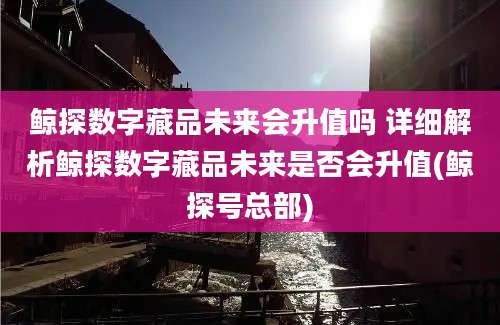 鲸探数字藏品未来会升值吗 详细解析鲸探数字藏品未来是否会升值(鲸探号总部)