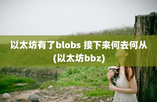 以太坊有了blobs 接下来何去何从(以太坊bbz)