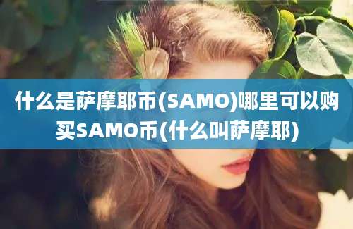 什么是萨摩耶币(SAMO)哪里可以购买SAMO币(什么叫萨摩耶)