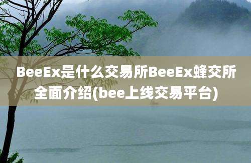 BeeEx是什么交易所BeeEx蜂交所全面介绍(bee上线交易平台)