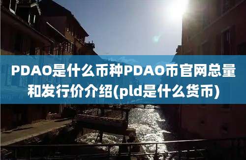 PDAO是什么币种PDAO币官网总量和发行价介绍(pld是什么货币)