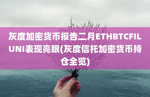 灰度加密货币报告二月ETHBTCFILUNI表现亮眼(灰度信托加密货币持仓全览)