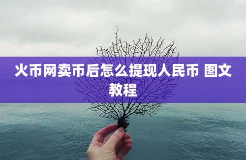 火币网卖币后怎么提现人民币 图文教程