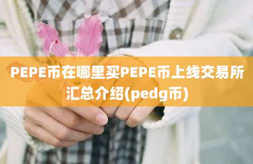 PEPE币在哪里买PEPE币上线交易所汇总介绍(pedg币)