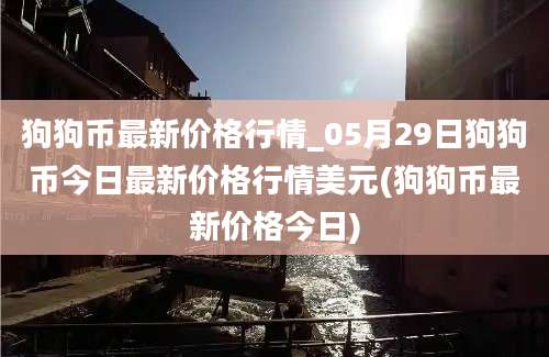 狗狗币最新价格行情_05月29日狗狗币今日最新价格行情美元(狗狗币最新价格今日)