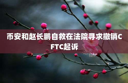 币安和赵长鹏自救在法院寻求撤销CFTC起诉