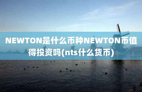 NEWTON是什么币种NEWTON币值得投资吗(nts什么货币)